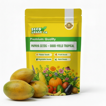 Papaya Seeds – Good-Yield Tropical