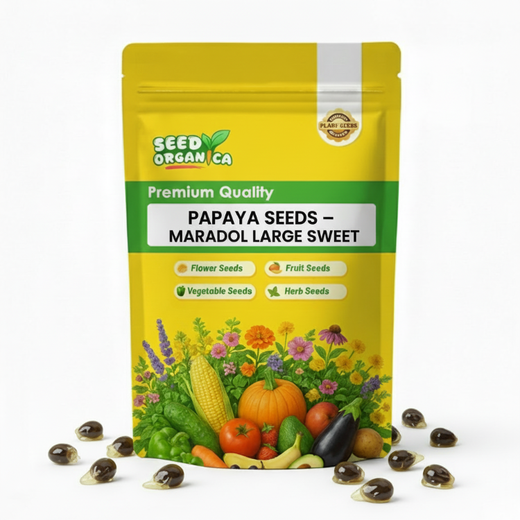 Papaya Seeds – Maradol Large Sweet