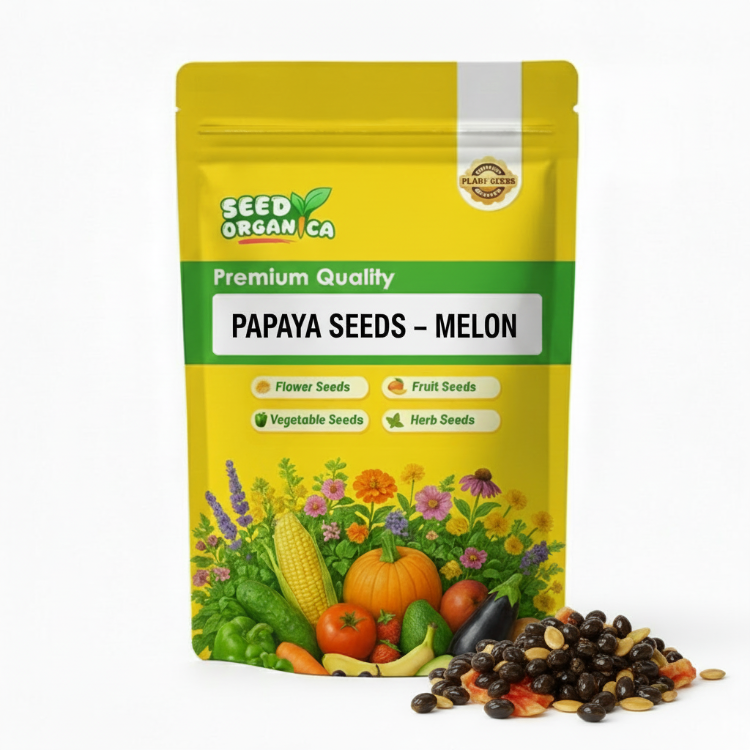 Papaya Seeds – Melon