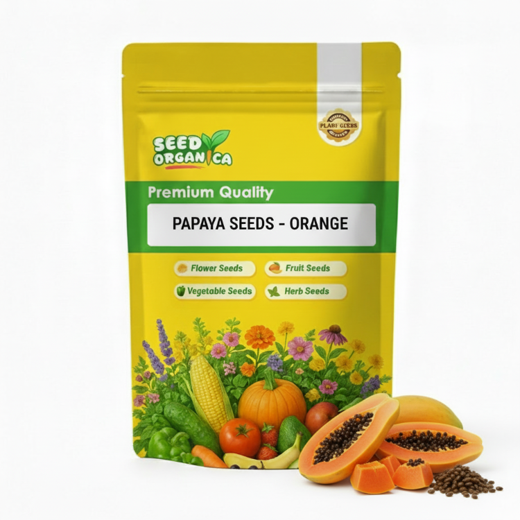 Papaya Seeds – Orange