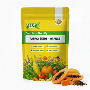 Papaya Seeds – Orange