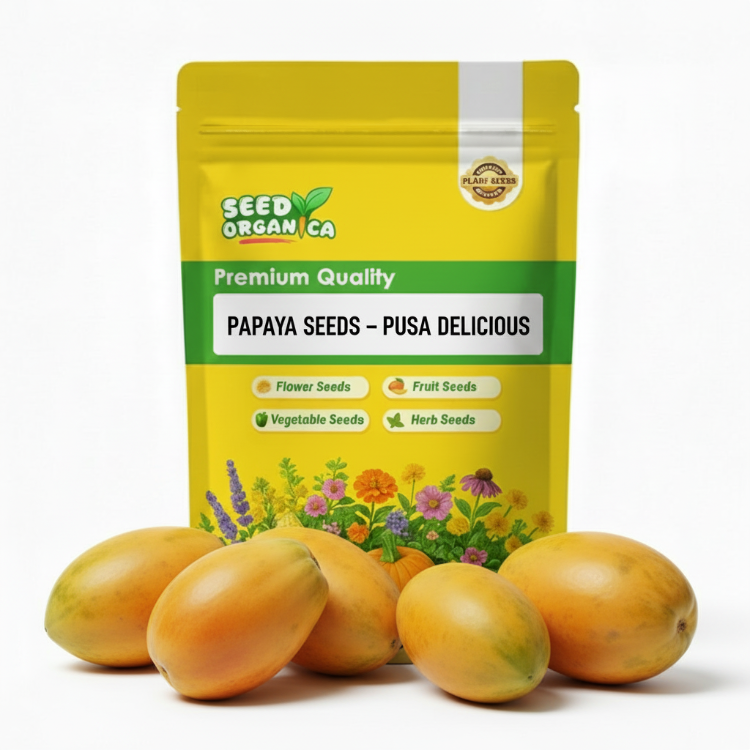 Papaya Seeds – Pusa Delicious
