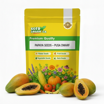 Papaya Seeds – Pusa Dwarf