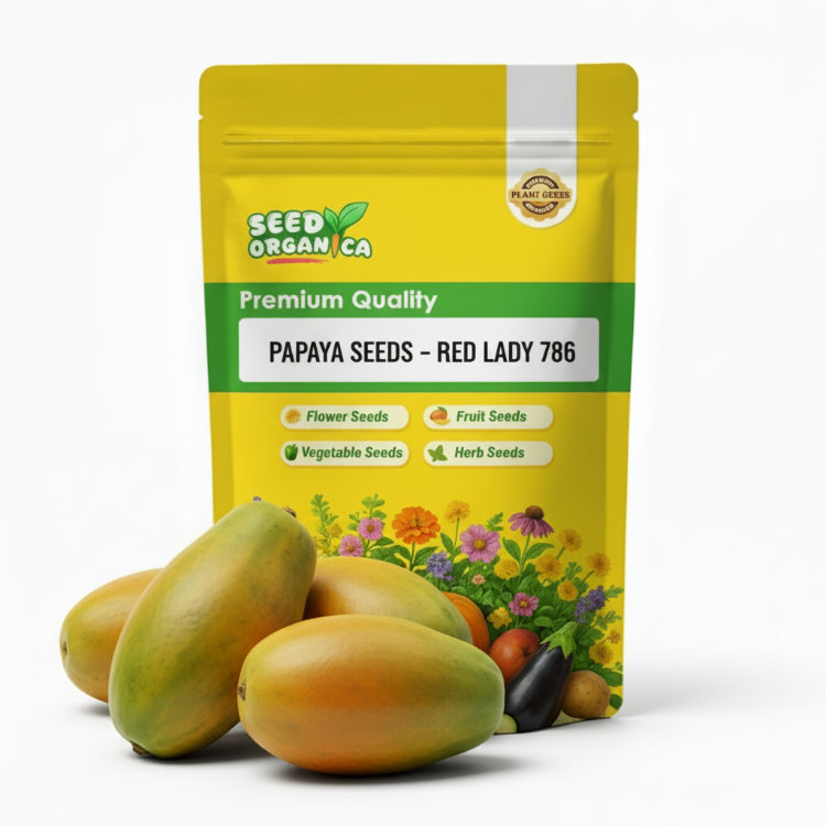 Papaya Seeds – Red Lady 786