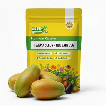 Papaya Seeds – Red Lady 786
