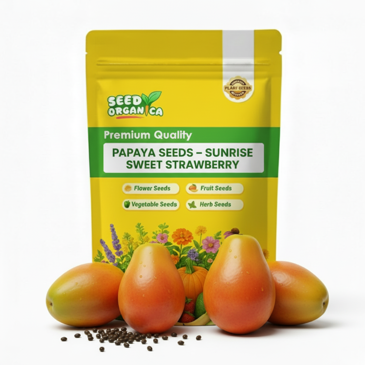 Papaya Seeds – Sunrise Sweet Strawberry
