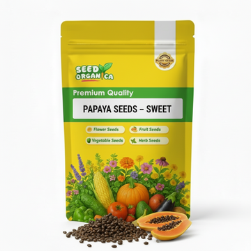 Papaya Seeds –  Sweet