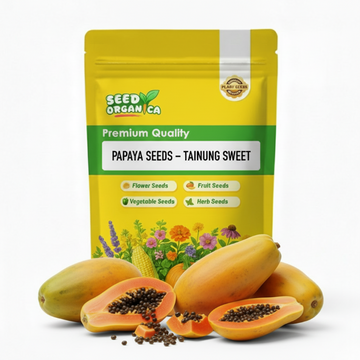 Papaya Seeds – Tainung Sweet