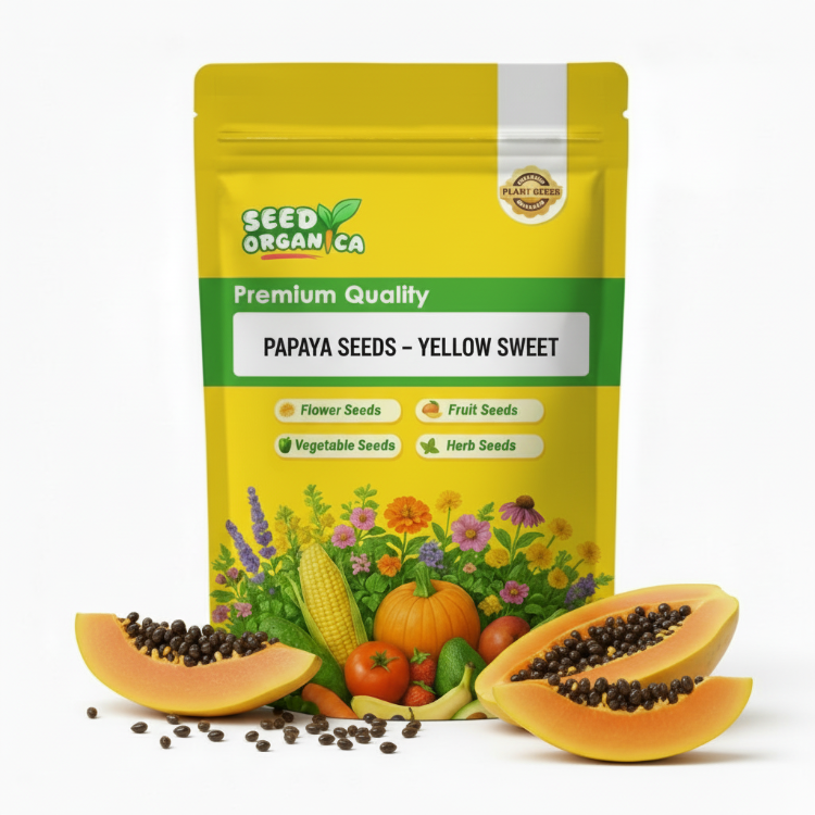 Papaya Seeds – Yellow Sweet