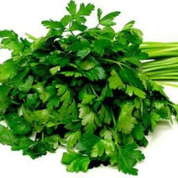 Parsley Seeds – Flat Leaf