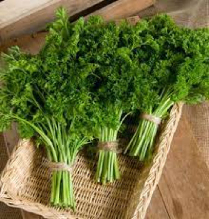 Parsley Seeds – Green