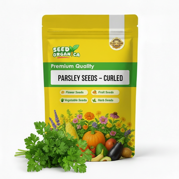 Parsley Seeds – Curled