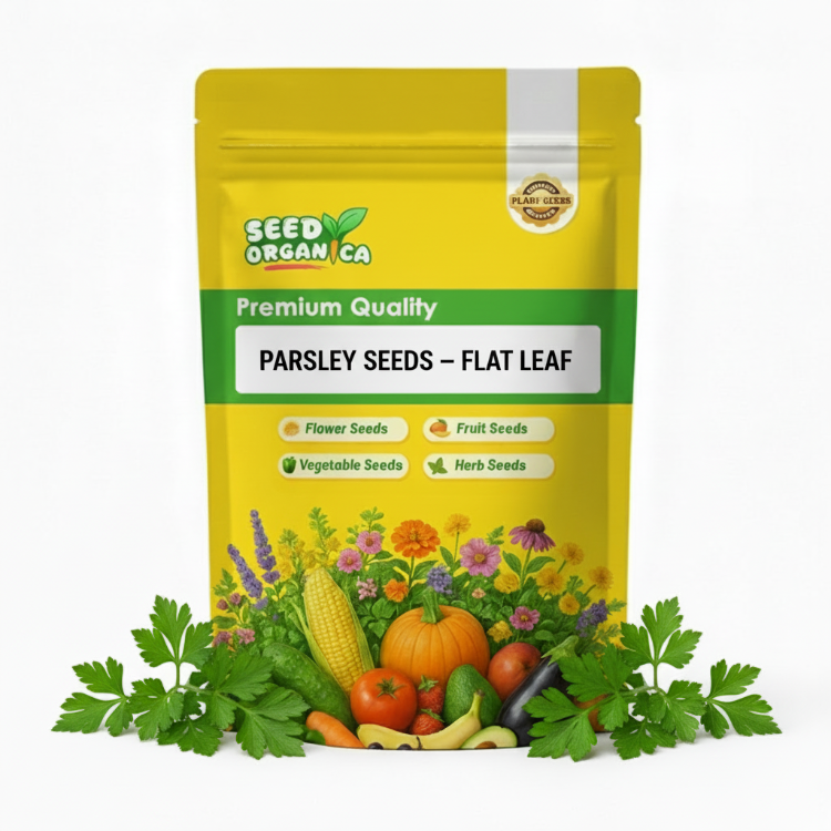 Parsley Seeds – Flat Leaf