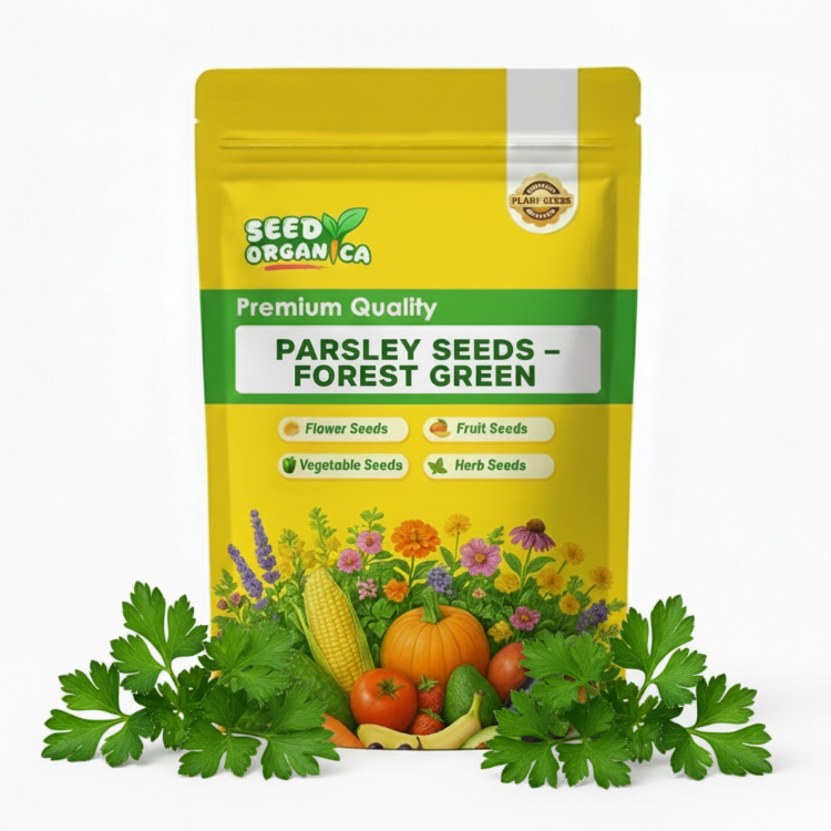 Parsley Seeds – Forest Green