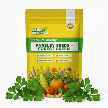 Parsley Seeds – Forest Green