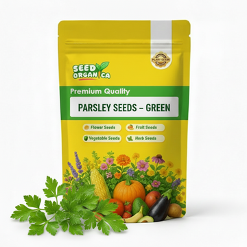 Parsley Seeds – Green