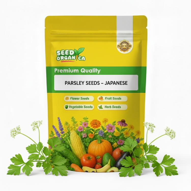 Parsley Seeds – Japanese