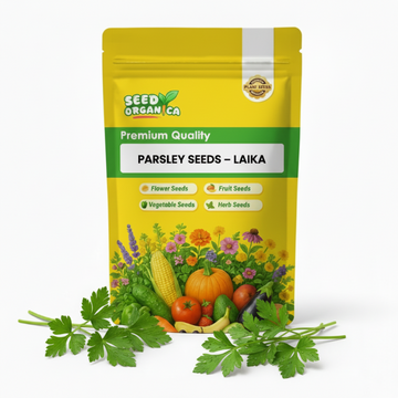 Parsley Seeds – Laika