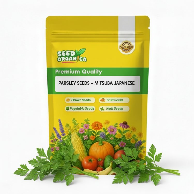 Parsley Seeds – Mitsuba Japanese