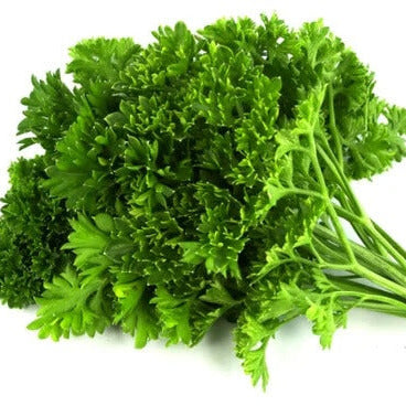 Parsley Seeds – Moss Curled