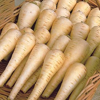 Parsnip Seeds – Sabre F1