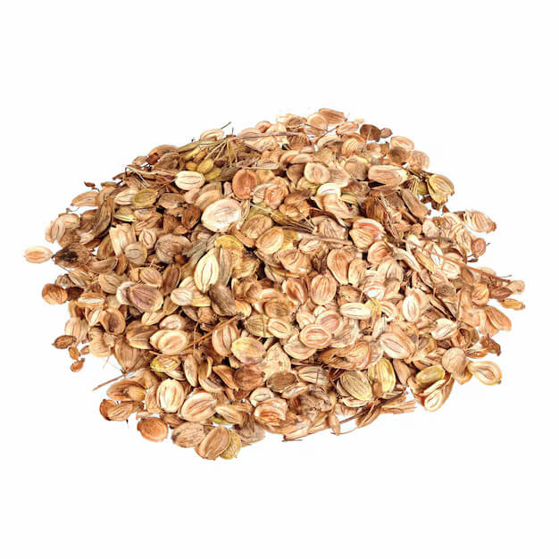 Parsnip Seeds - All In One For Home Gardens