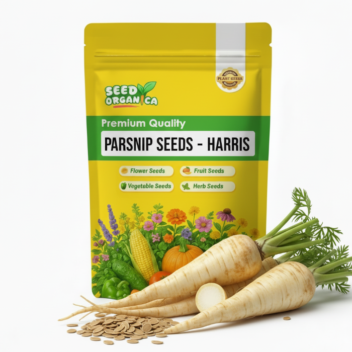 Parsnip Seeds – Harris