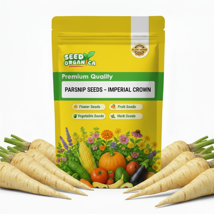 Parsnip Seeds – Imperial Crown