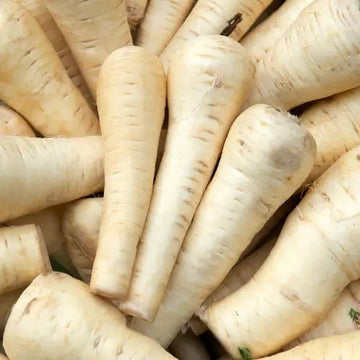 Parsnip Seeds – Imperial Crown