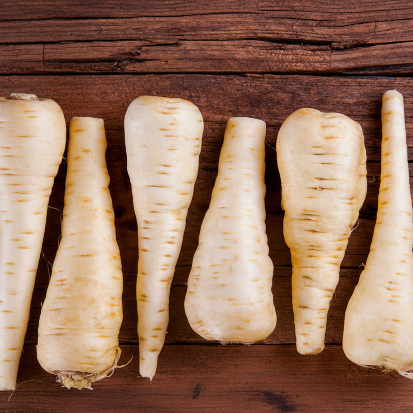 Parsnip Seeds – Sabre F1