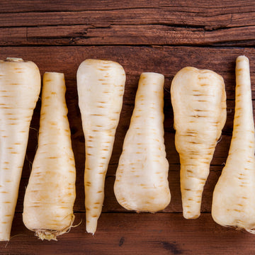 Parsnip Seeds – Sabre F1