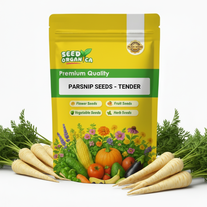 Parsnip Seeds – Tender