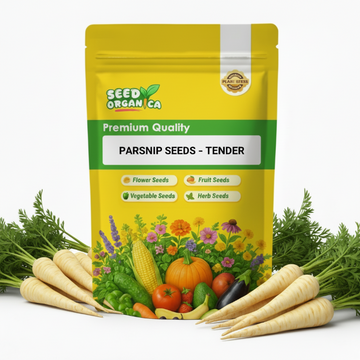 Parsnip Seeds – Tender