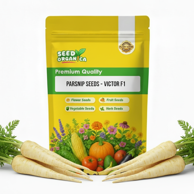 Parsnip Seeds – Victor F1