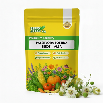 Passiflora Foetida Seeds – Alba
