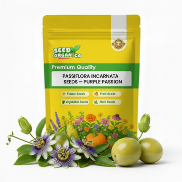 Passiflora Incarnata Seeds – Purple Passion