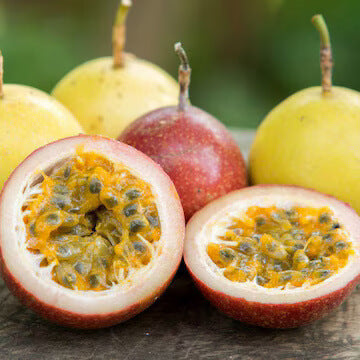 Passion Fruit Seeds – Mixed Multi-Colour