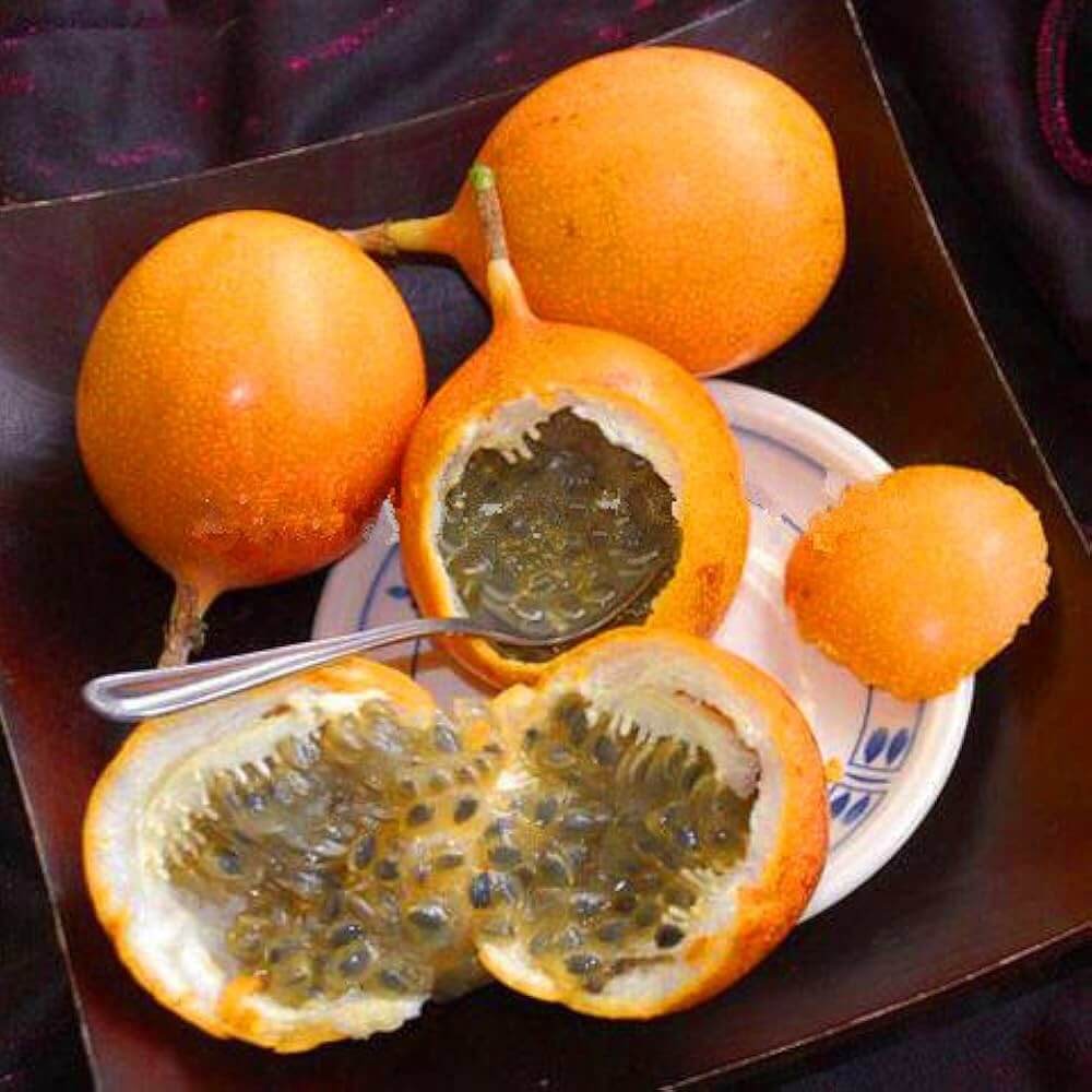 Passion Fruit Seeds – Passiflora edulis Orange