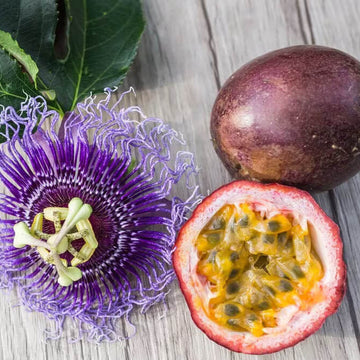 Passion Fruit Seeds – Passiflora edulis Purple Pink