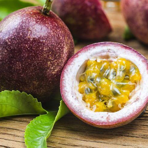 Passion Fruit Seeds – Passiflora edulis Purple Pink