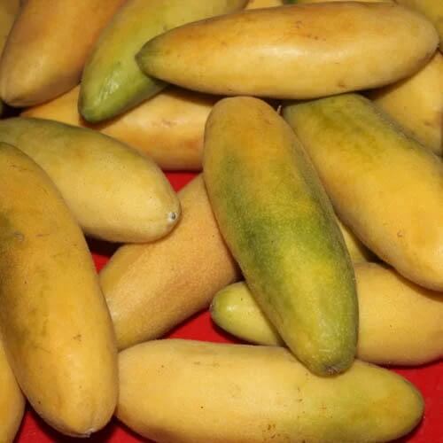 Passion Fruit Seeds – Banana