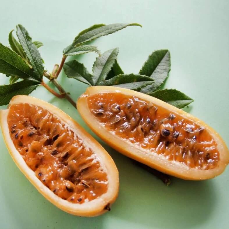Passion Fruit Seeds – Orange Banana