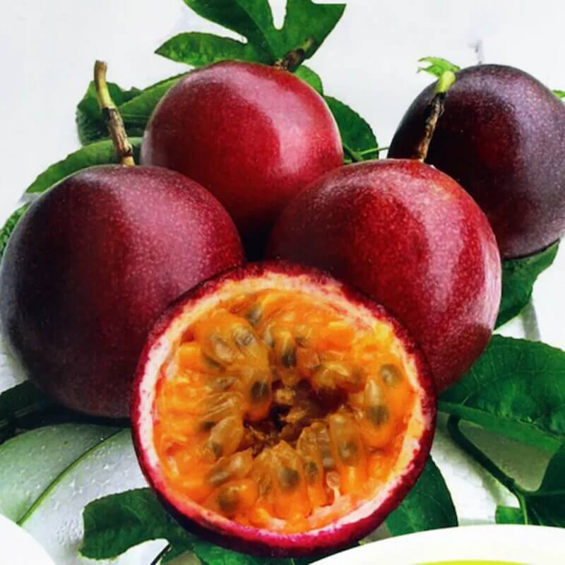 Passion Fruit Seeds – Red