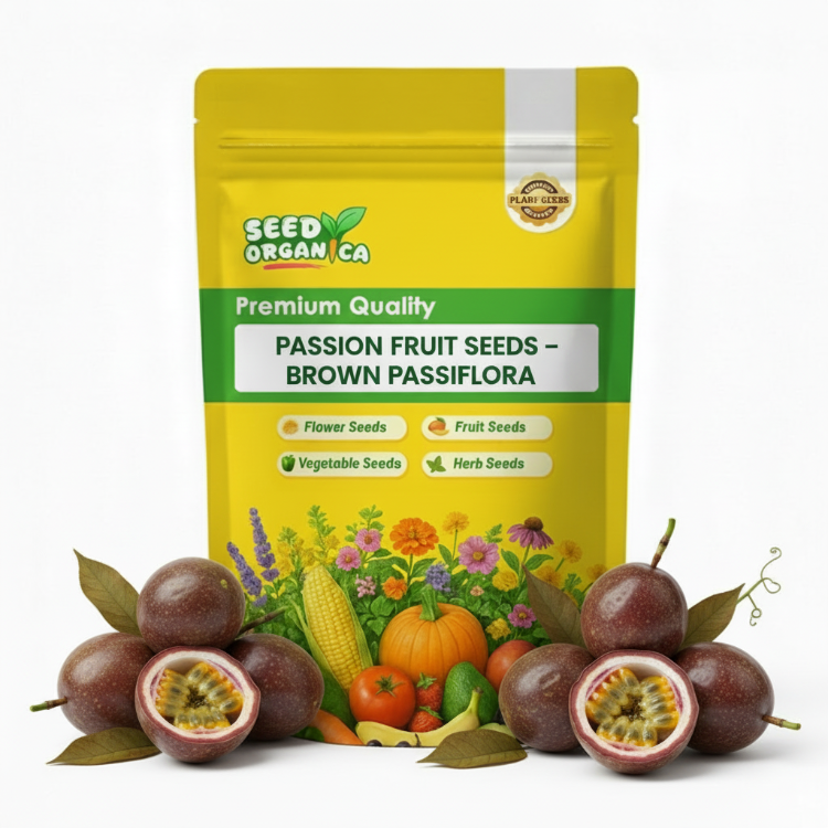 Passion Fruit Seeds – Brown Passiflora
