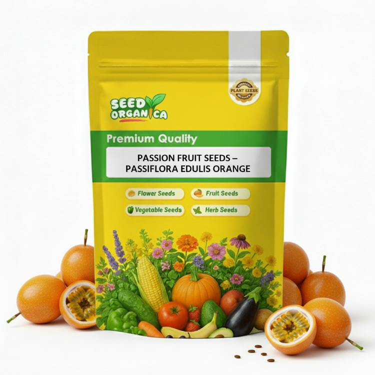 Passion Fruit Seeds – Passiflora edulis Orange