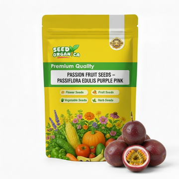 Passion Fruit Seeds – Passiflora edulis Purple Pink