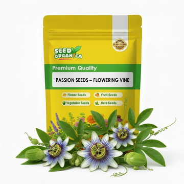 Passion Seeds – Flowering Vine