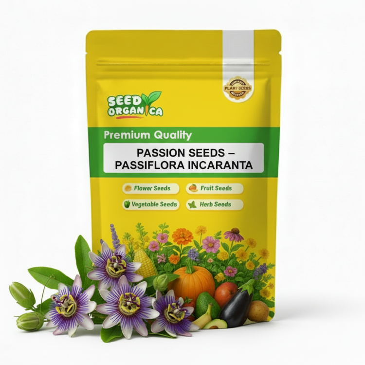 Passion Seeds – Passiflora Incarnata
