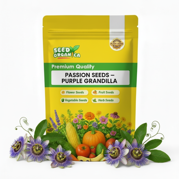 Passion  Seeds – Purple Grandilla