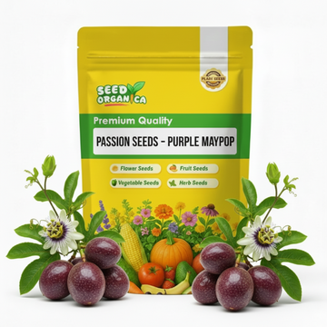 Passion Seeds – Purple Maypop
